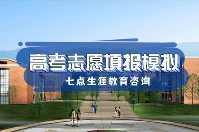 德陽志愿填報模擬與跆拳道技術咨詢指南